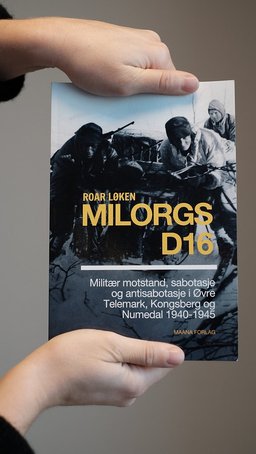 Milorgs D16